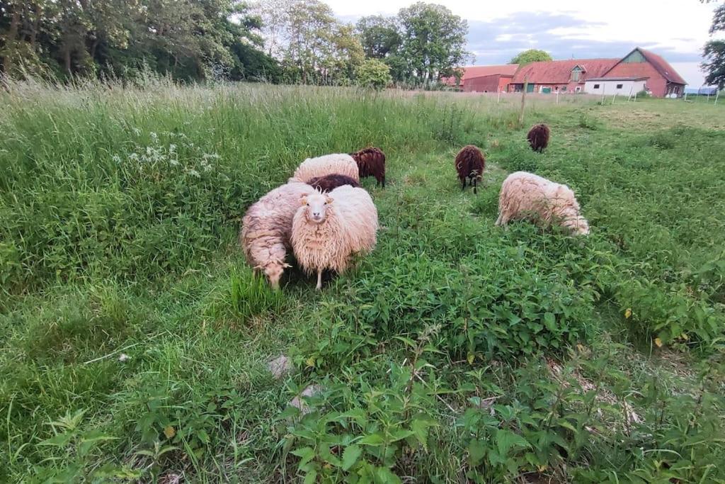 Urlaub Auf Dem Bauernhof Appartamento